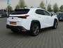 Lexus UX 250h F Sport Line / PANO