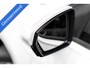 Volkswagen Polo 2.0 TSI GTI Pano DSG Beats ACC Stoelverw Vol