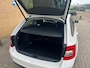 Skoda Octavia Combi 1.6 TDI Greentech Ambition Business|Elk klep|Carplay|Camera|Stoelver|Navi|PDC|Cruise|
