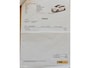 Volkswagen Polo 1.0TSi 95pk DSG-7 AUTOMAAT Comfortline Busi.