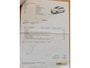 Volkswagen Polo 1.0TSi 95pk DSG-7 AUTOMAAT Comfortline Busi.