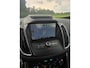 Ford Grand C-Max 1.0 Titanium|1ste eigenaar|Dealer onderhouden|NL-auto|Bluetooth|Navigatie|