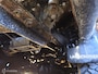 Toyota Land Cruiser Landcruiser HJ80 4.2 turbodiesel