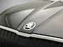 Skoda Enyaq iV 80 204pk Automaat Trekhaak, Warmtepomp, Lederen bekleding, Adaptive cruise control, 360 camera, Achteruitrijcamera, Navigatie