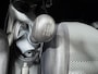 Nissan Micra 1.2 Visia Pack