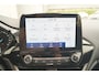 Ford Fiesta 1.0 EcoBoost 124pk Hybrid Titanium -NAVI-PDC-