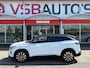 Renault Austral 1.2 TCE 130PK MILD-HYBRID TECHNO HALF-LEER NAVI CAMERA CARPLAY AIRCO LMV PDC