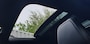 Volvo XC40 1.5 T3 MOMENTUM PRO  Panorama dak