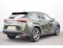 Lexus UX 250h Luxury Line Leer/Verwarmd Navi/Camera Led Priv/Glass