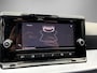SEAT Ibiza 1.0 EcoTSI 115pk DSG FR Business Connect · Apple/Android Car Play · P-Sensoren · Cruise Control · DAB · 17'' Inch ·