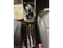 Suzuki Ignis 1.2 Stijl Smart Hybrid Clima/Cruise/Camera/Luxe