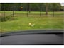 Audi A8 60 TFSI e quattro Lang Pro Line Plus , Panoramadak, Head-up display, 360°camera,