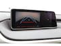 Lexus RX 450h 4WD Luxury Line | Dealeronderhouden | Elektrisch schuif-/kanteldak | Afn. Trekhaak | Stoelgeheugen