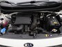 Kia Picanto 1.0 DPi DynamicLine | ACHTERUITRIJCAMERA | AIRCO | APPLE CARPLAY | ANDROID AUTO | DAB RADIO | LICHT METALEN VELGEN |