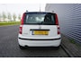 Fiat Panda 1.2 Edizione Cool Climate / Elektr. ramen / NAP