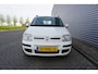 Fiat Panda 1.2 Edizione Cool Climate / Elektr. ramen / NAP