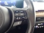 Honda E Electric 154pk Advance 17'' Zwart Dak