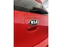 Kia Picanto 1.0 CVVT First Edition | Apple carplay | Achteruitrijcamera | Cruise control | Climate control | Nederlands geleverd