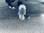 Toyota Verso 1.6 VVT-i Terra|Airco|Trekhaak|NAP|APK