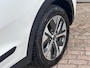 Kia Niro EV E-Niro DynamicLine 64 kWh SOH 100% TREKHAAK