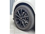 Ford Focus 1.6 EcoBoost Titanium/SCHUIFDAK/NW DISTRUBUTIE/