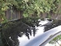 Volkswagen Polo 1.2-12V Trendline 2007 Airco 5-Deurs APK!