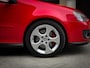 Volkswagen Golf GTI 2.0 TFSI | PANO | CARPLAY | DEALER OH. | LEDER
