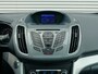 Ford Grand C-Max 1.6 SCTi Titanium 7-prs I NL-Auto I 100% dealer I 2e eig. I Clima I Cruise I
