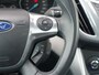 Ford Grand C-Max 1.6 SCTi Titanium 7-prs I NL-Auto I 100% dealer I 2e eig. I Clima I Cruise I
