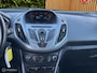 Ford B-Max 1.0 EcoB Titanium|Stoelverwarming|Trekhaak|Boekje