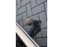 Audi Q4 e-tron 40 S edition 77 kWh | BTW | CAMERA | STOELVERWARMING | ACC | 19'' |