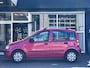 Fiat Panda 1.2 Active 5 DEURS / AIRCO / ELEKT RAMEN / NAP