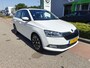 Skoda Fabia Combi 1.0 TSI Business Edition / Navi / APP.Connect / 16"LMV