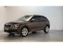 Skoda Kamiq 1.0 TSI 110pk DSG Business Edition Stoelverwarming App-Connect DAB+