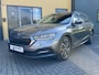 Skoda Octavia 1.4 TSI Iv Phev Clever, agr stoelen, winterpakket, camera, pdc