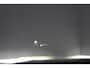BMW 2-serie Gran Coupé 218iA M-SPORT Edition PANO | HARMAN KARDON | HEAD UP | STUUR+STOELVERW | CAMERA | BLINDSPOT | KEYLESS | LMV 19''