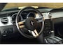 Ford Mustang Shelby GT-H Coupe | 2006