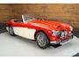 Austin Healey 100/6 Cabriolet | 1958