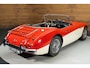 Austin Healey 100/6 Cabriolet | 1958
