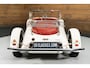 Excalibur SSK SSK | Restored | #10 of 356 Built | 1966