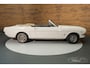 Ford Mustang Cabriolet | Gerestaureerd | 289CUI V8 | 1966