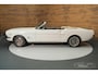 Ford Mustang Cabriolet | Gerestaureerd | 289CUI V8 | 1966