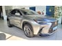 Lexus NX 450h+ Luxury Line | Dodehoek | Parksens | Leder | Trekhaak |