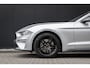 Ford Mustang Fastback 2.3 EcoBoost | EU-Mustang | Dealerhistorie | Adaprive Cruise | Camera | Stoelvetilatie
