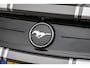 Ford Mustang Fastback 2.3 EcoBoost | EU-Mustang | Dealerhistorie | Adaprive Cruise | Camera | Stoelvetilatie