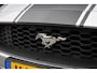 Ford Mustang Fastback 2.3 EcoBoost | EU-Mustang | Dealerhistorie | Adaprive Cruise | Camera | Stoelvetilatie