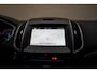 Ford S-Max 2.0 Titanium Aut. [ Navi Stoelverwarming Camera Trekhaak ]