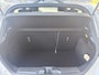 Ford Fiesta 1.0 EcoBoost ST-Line MAXTON I VOORRUITVERWARMING I PARKEERSENSOREN ACHTER I APPLE CARPLAY / ANDROID AUTO I