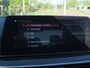 BMW 5-Serie 530i High Executive | Panoramadak | Sfeerverlichting | Apple Carplay | Cruise Control |