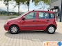 Fiat Panda 1.2 Celebration | Distr Riem VV | APK Nieuw | NAP